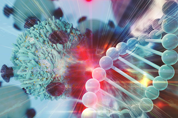 La Ricerca Rende Possibile L Impossibile Lotta Ai Tumori A Colpi Di